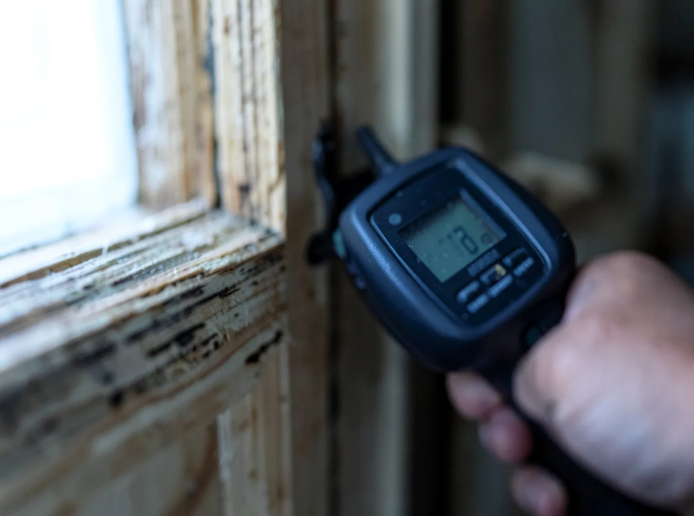 Moisture Inspection And Documentation in South Cle Elum, WA